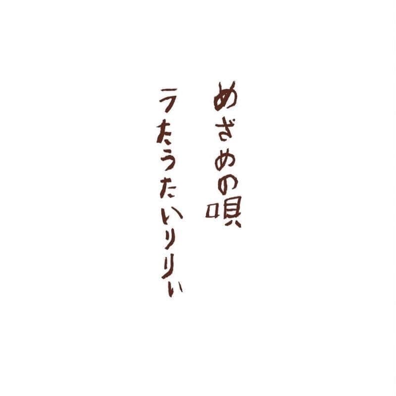 s__28418086.jpg